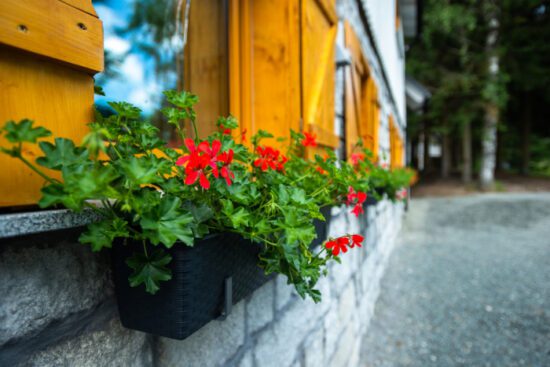 Stary Młyn Szklarska Poręba